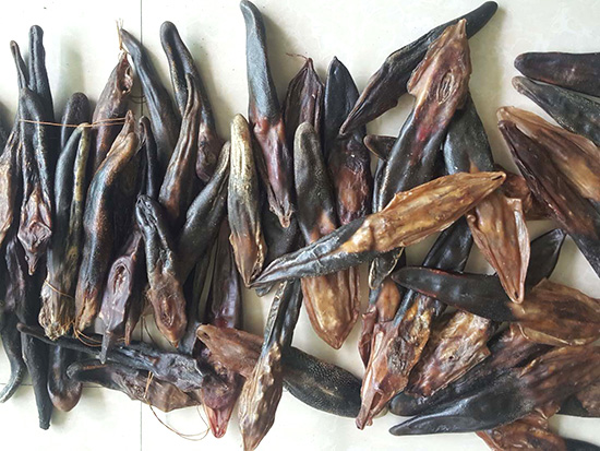 鹿尾