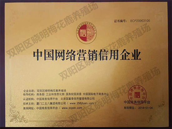 中国网络营销信用企业